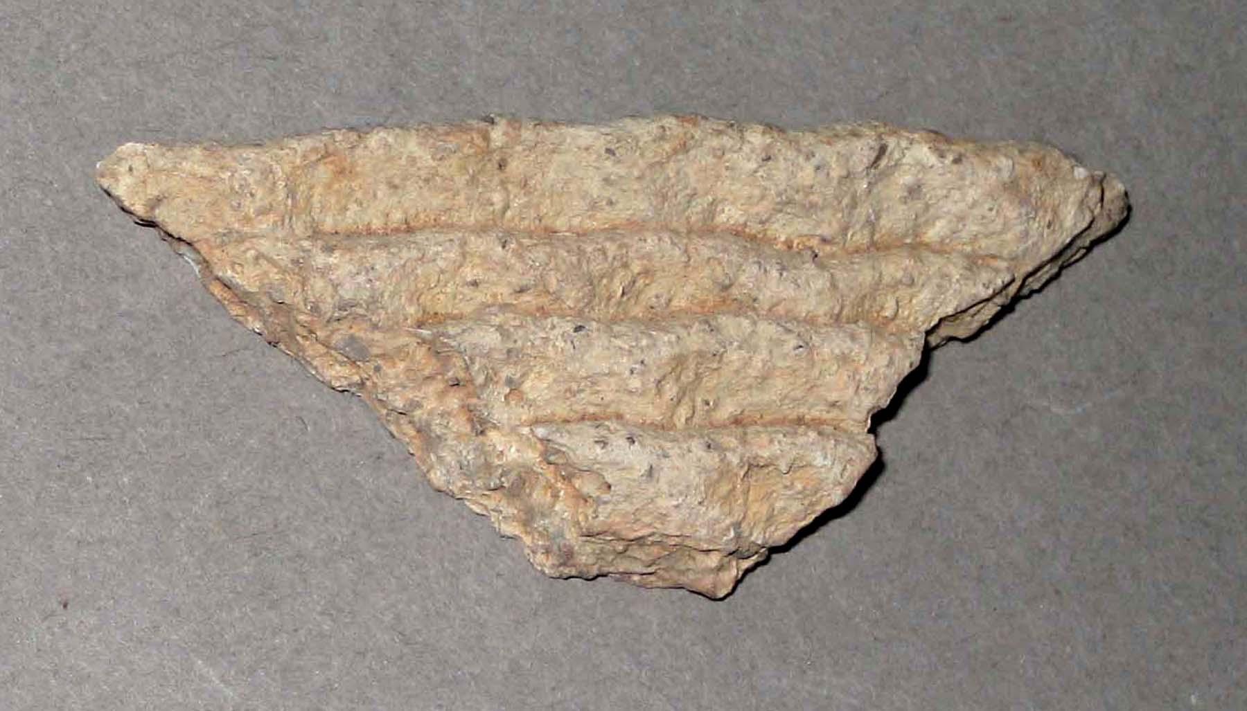 1980.0124.007 Earthenware fragment