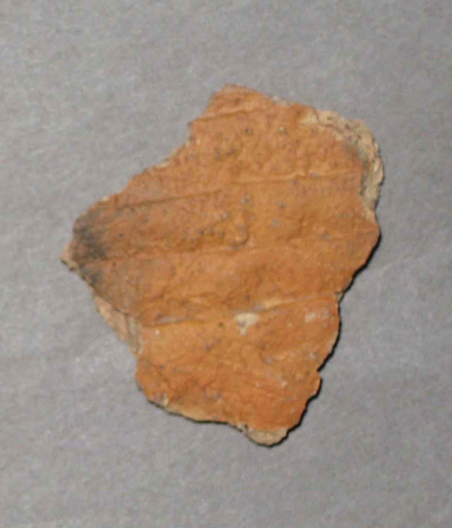 1980.0124.026 Earthenware fragment