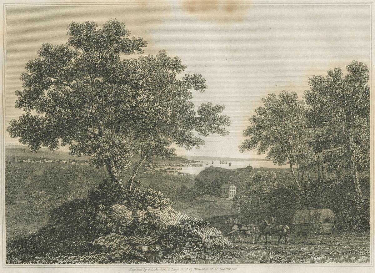 1980.0204.001 Print, image
