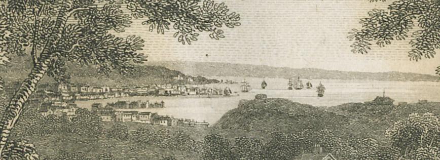 1980.0204.001 Print, detail 4