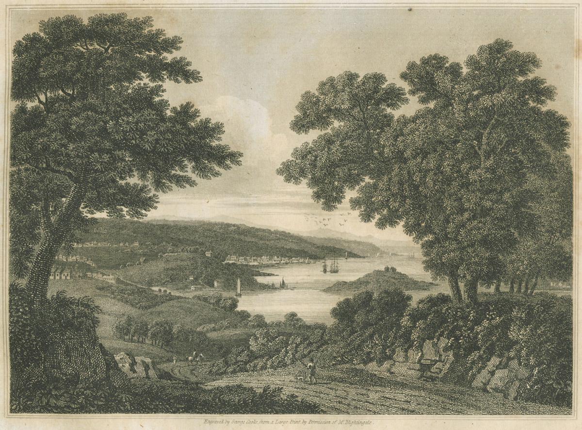 1980.0204.002 Print, image