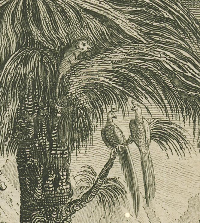 1980.0206 Print, detail 8