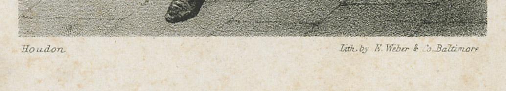 1980.0219 Print, detail 1