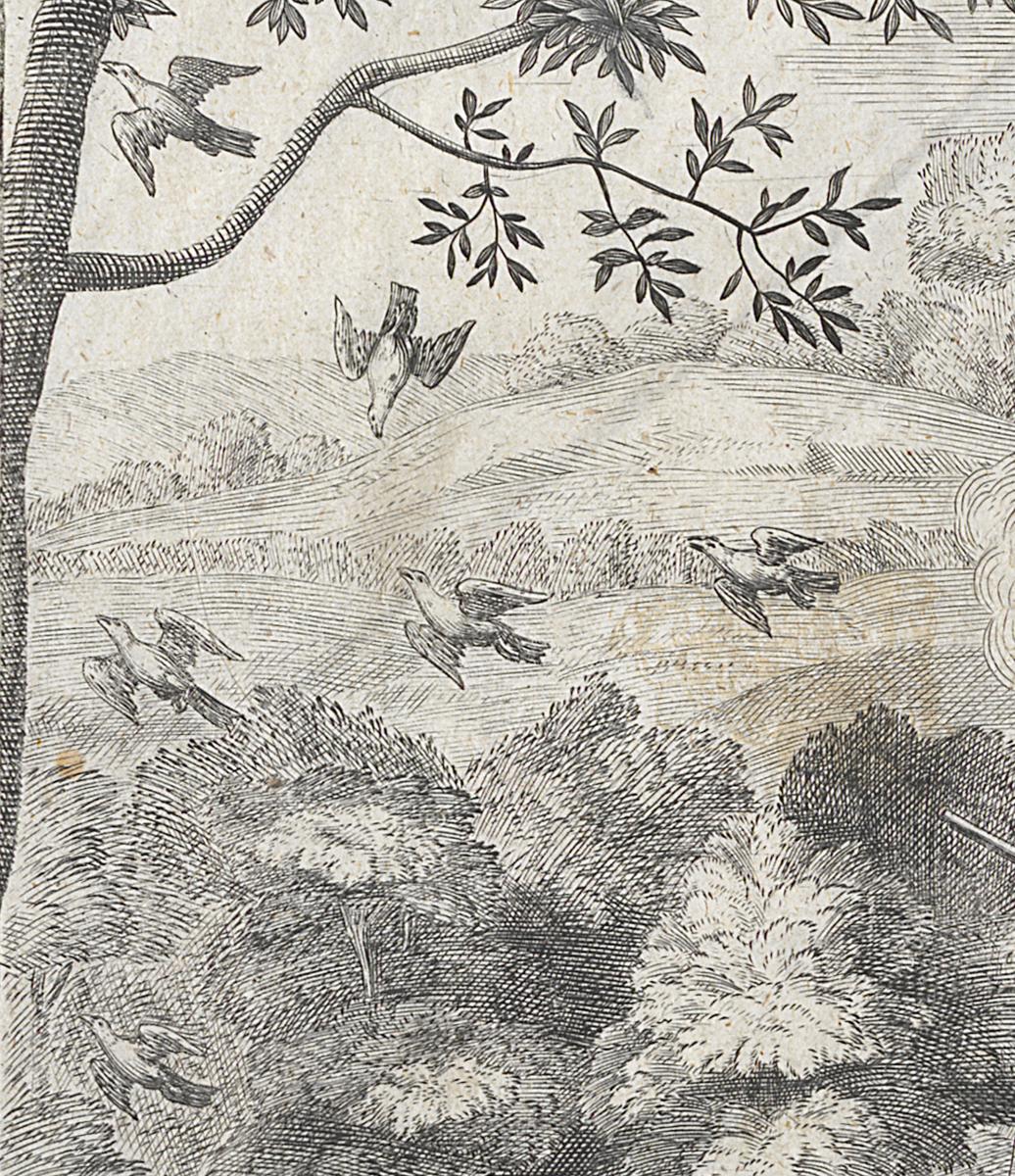 1980.0224.001 Print, Detail 5