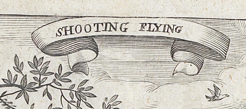 1980.0224.001 Print, Detail 7