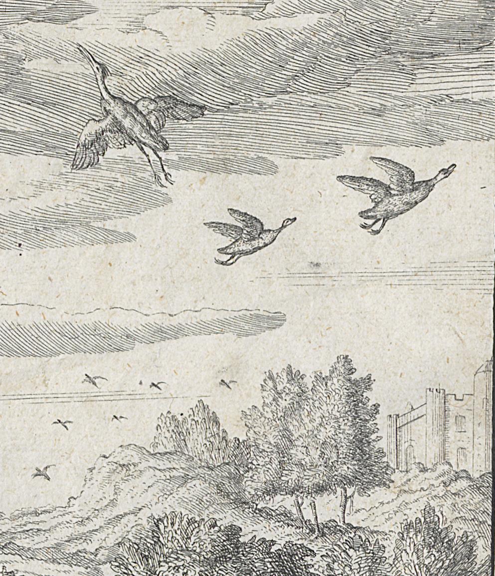 1980.0224.002 Print, Detail 6