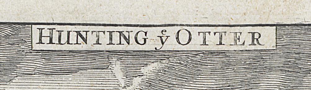 1980.0224.002 Print, Detail 7