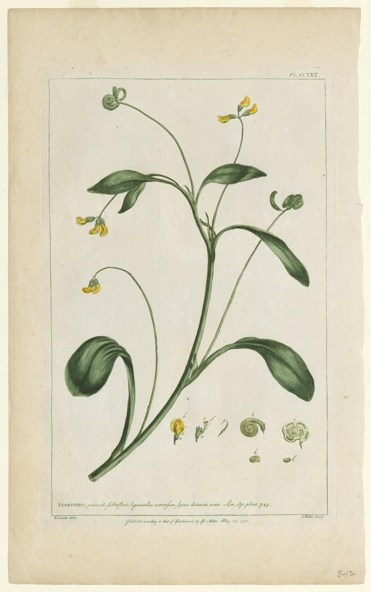 1980.0227 Print