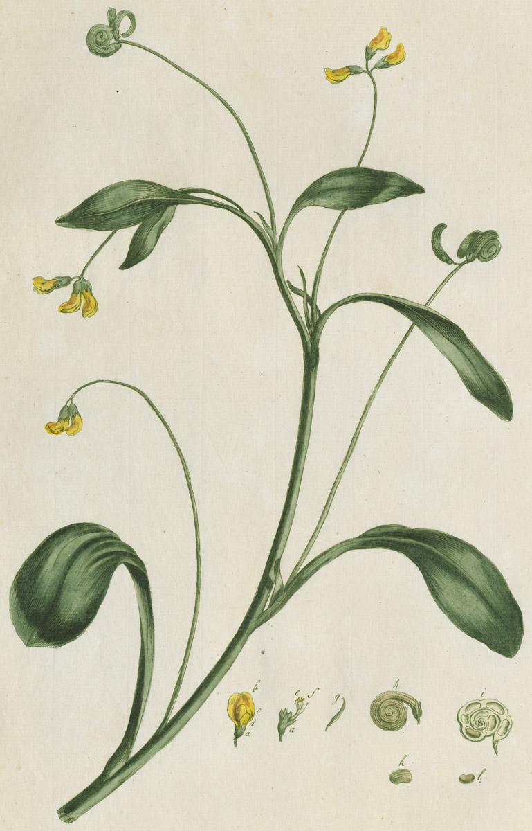 1980.0227 Print, image