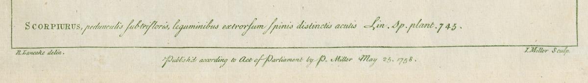 1980.0227 Print, detail 1