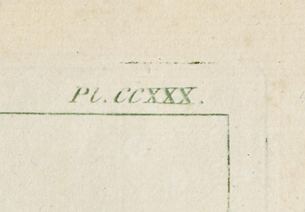 1980.0227 Print, detail 2