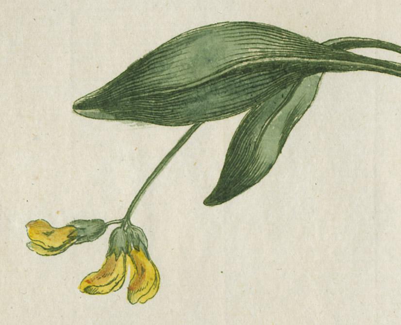 1980.0227 Print, detail 5