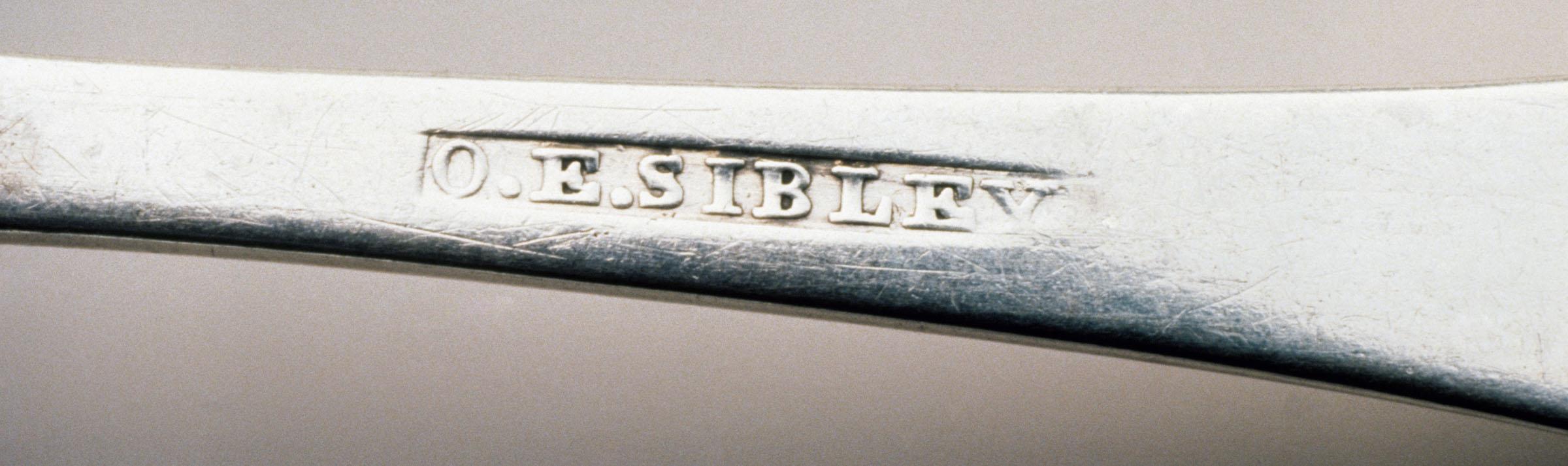 1981.0040 Spoon, Teaspoon, detail 1