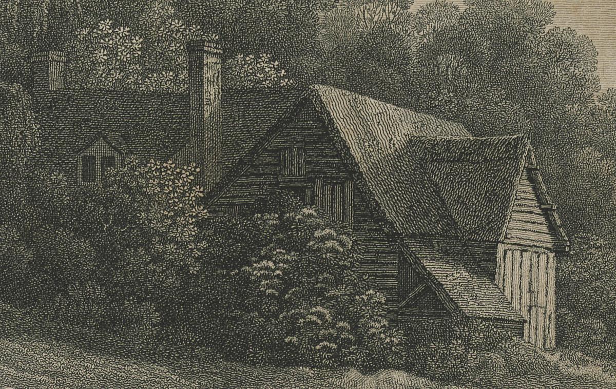 1981.0057 Print, detail 6