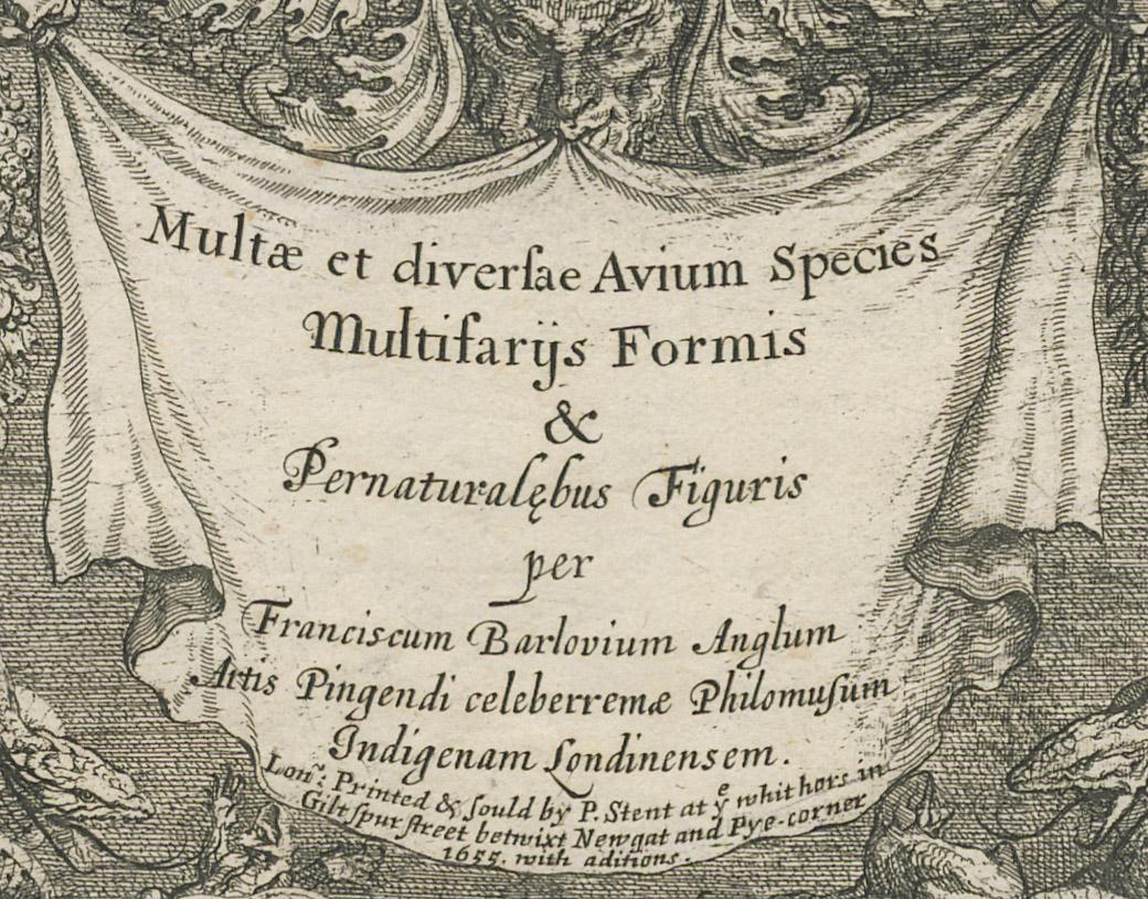 1981.0060 Print, detail 1