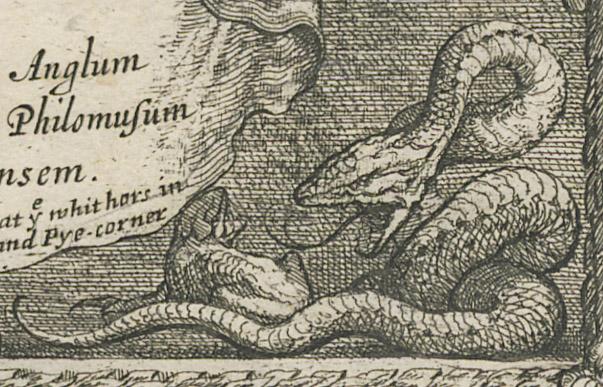 1981.0060 Print, detail 4