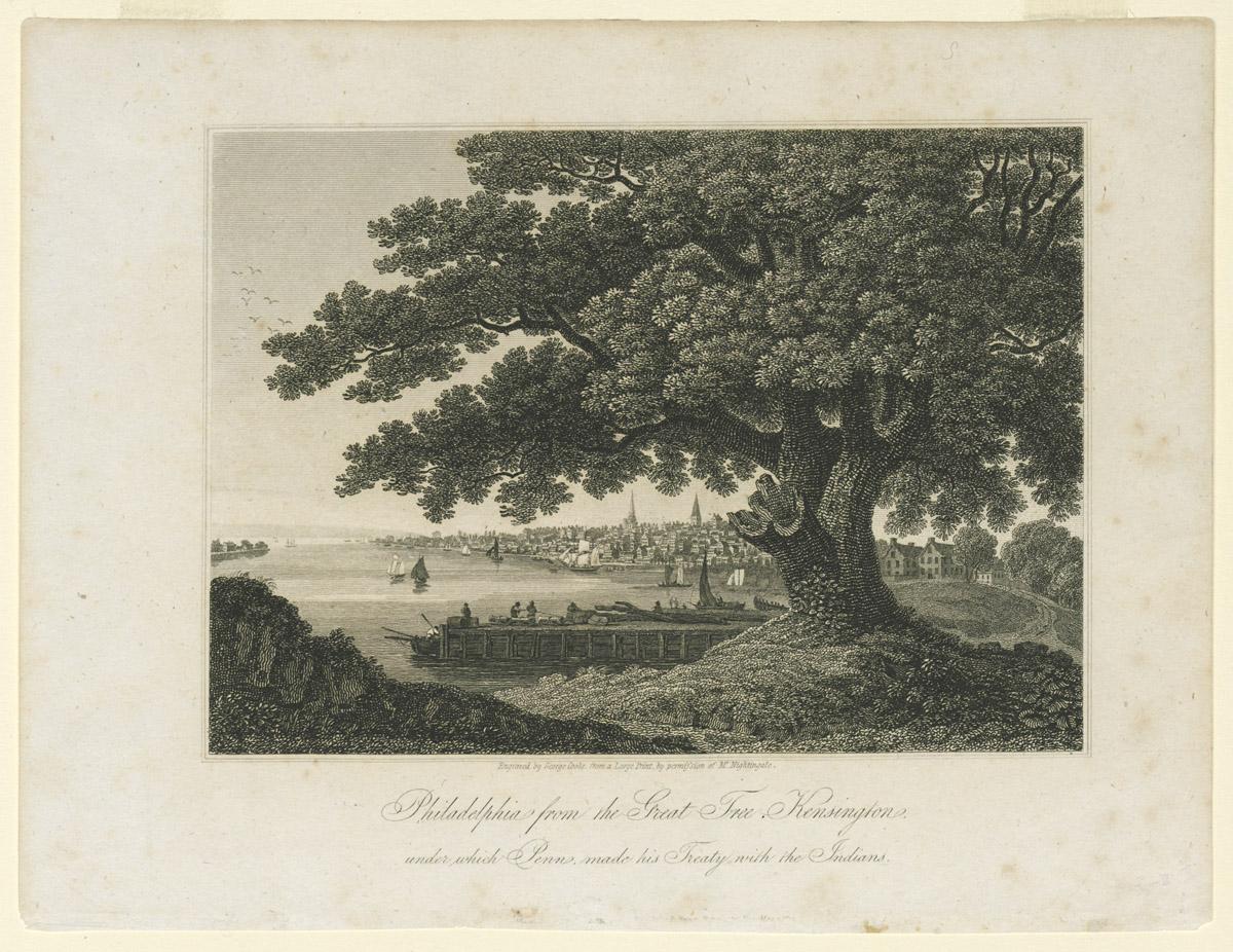 1981.0061 Print