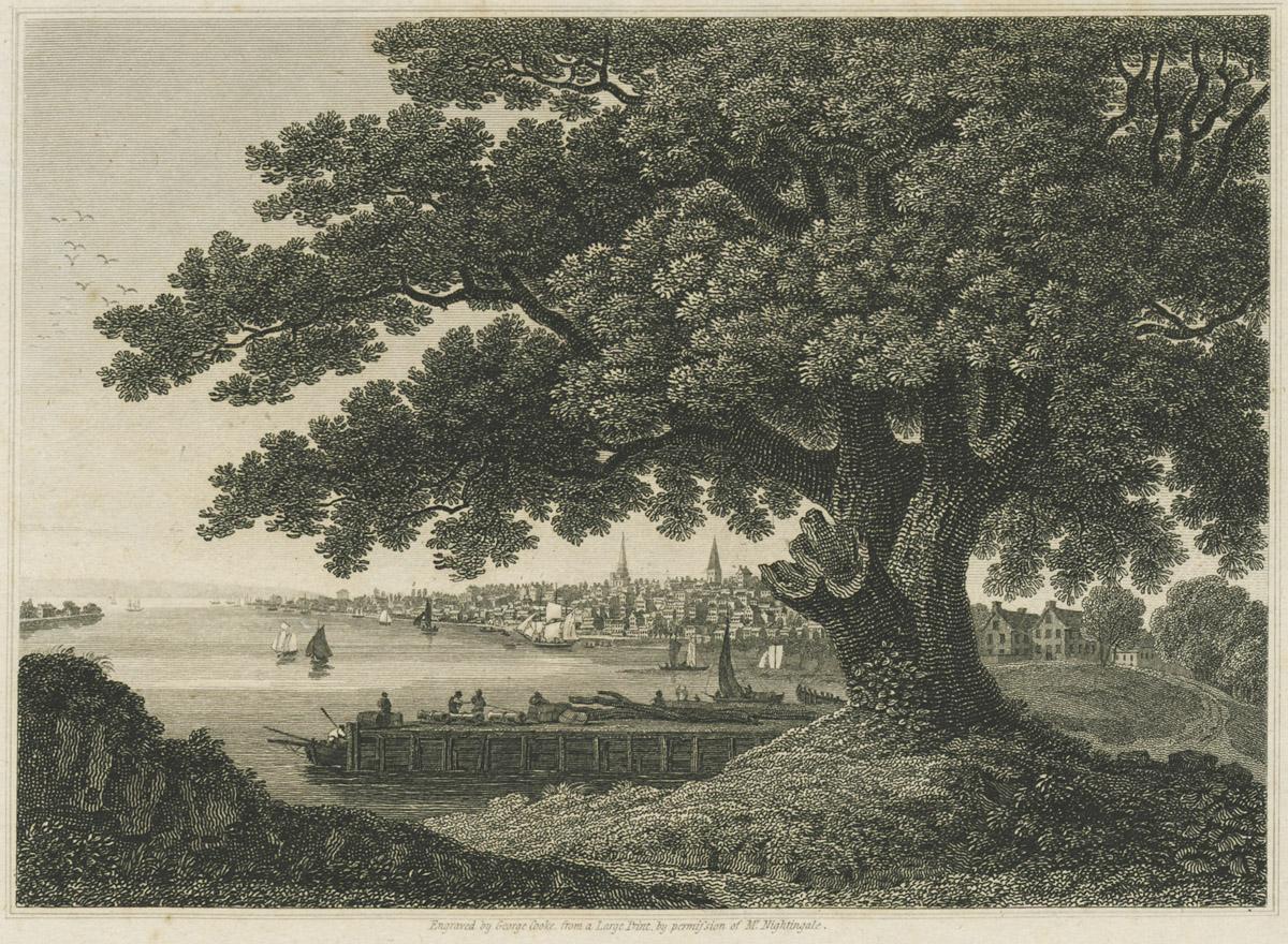 1981.0061 Print, image