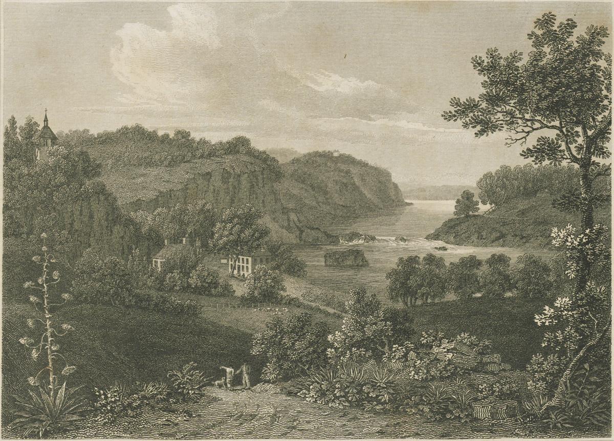 1981.0062 Print, image