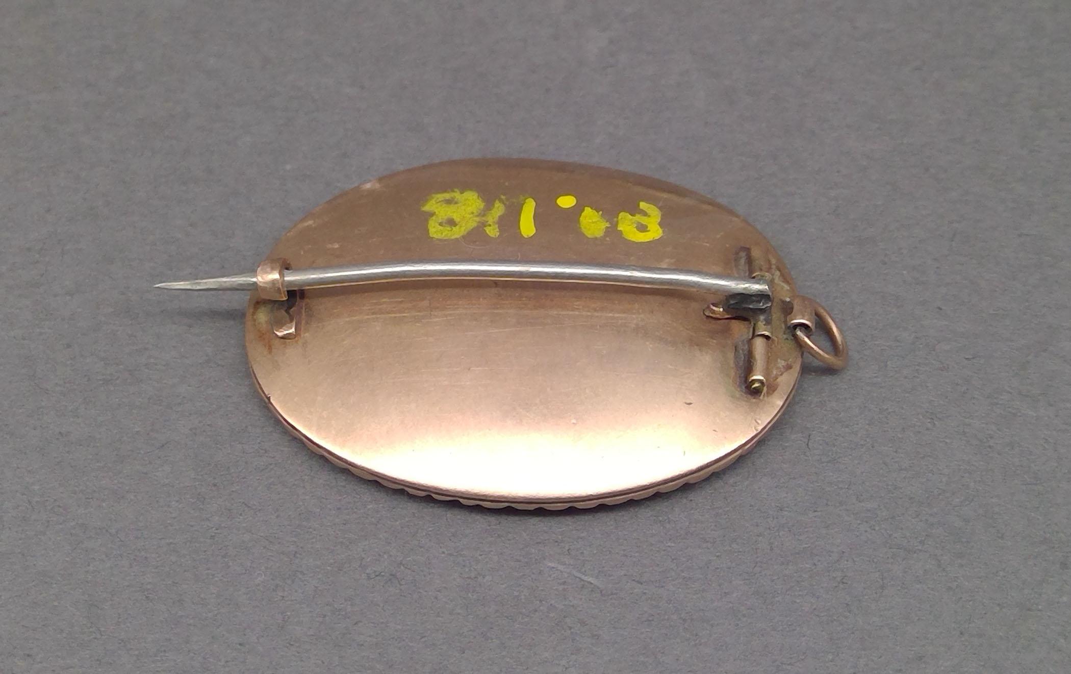 1981.0118 Brooch and pendant, Pin, view3