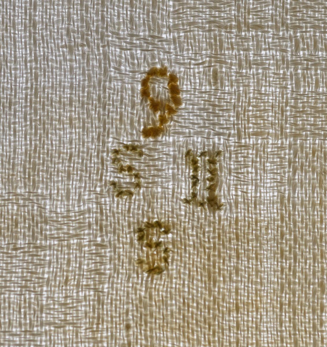 1981.0229 Napkin, detail 2