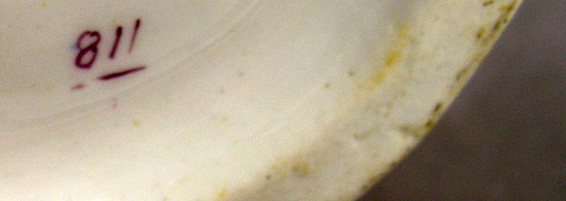 1981.0243 Jug (mark)