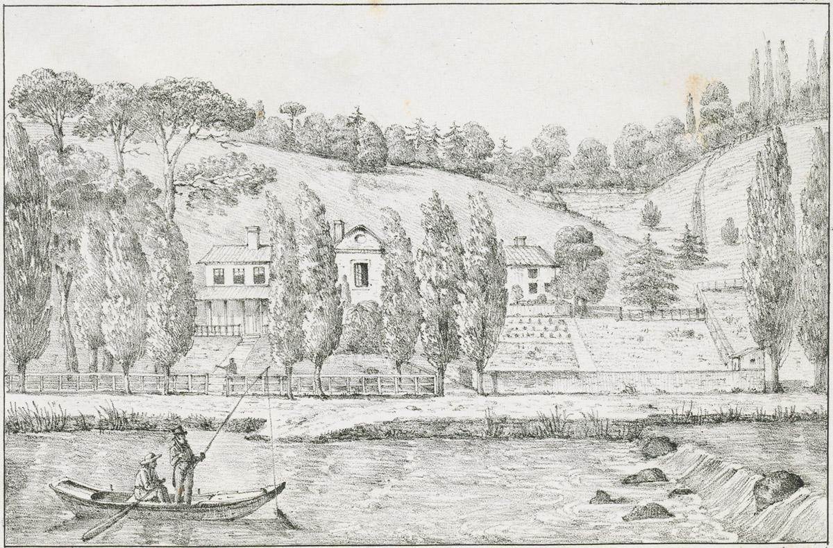 1982.0010.001 Print, image