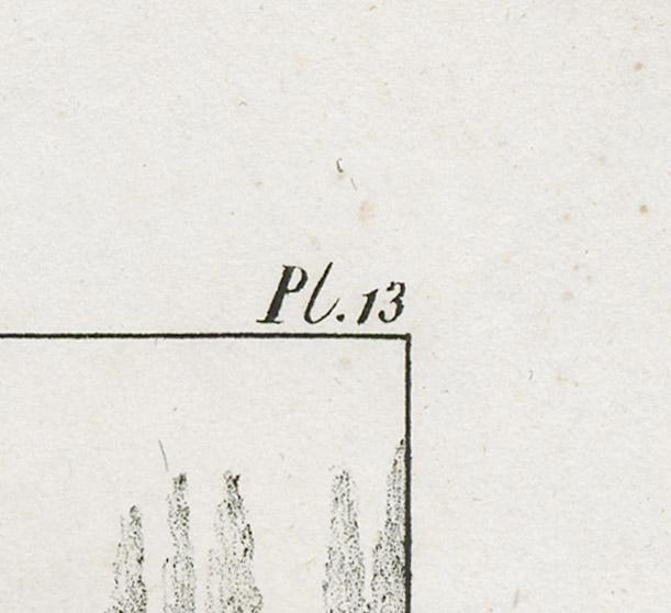 1982.0010.001 Print, detail 2