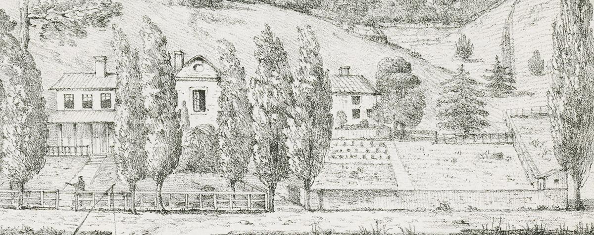 1982.0010.001 Print, detail 3