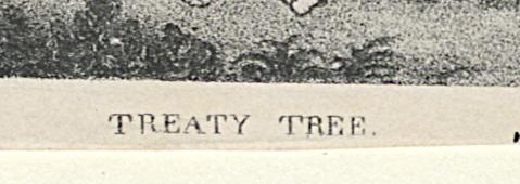 1982.0011.001 Print, Detail 2