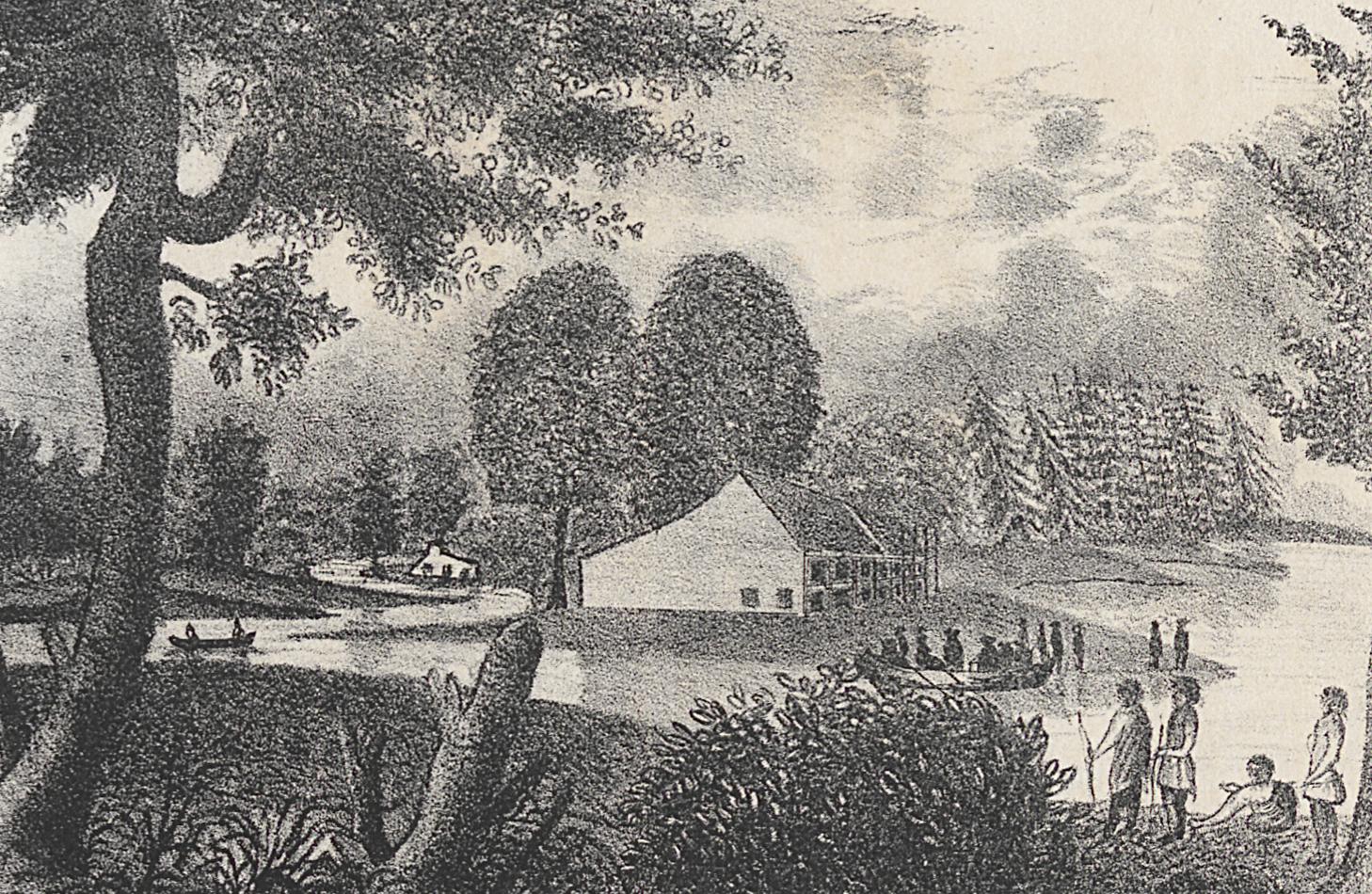 1982.0011.003 Print, Detail