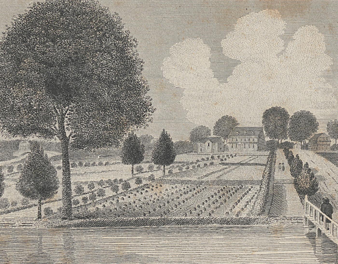 1982.0012 Print, Detail