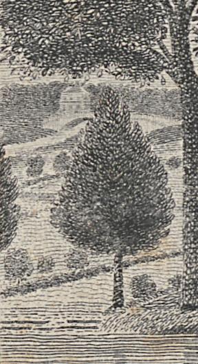 1982.0012 Print, Detail 4