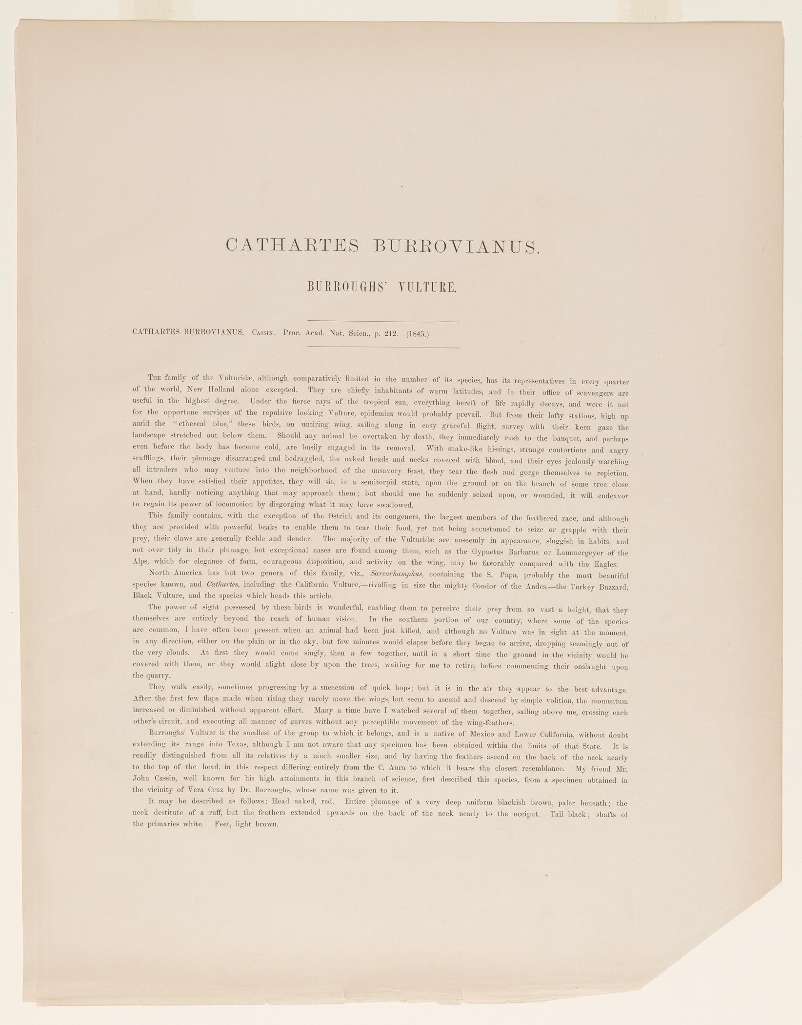 1982.0013 B Print, view 1
