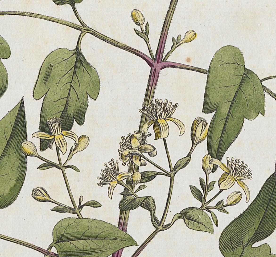 1982.0015.001 A Print, Detail 3