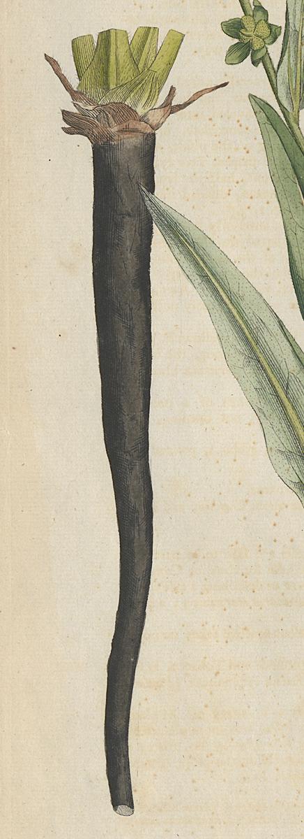 1982.0015.002 Print, Detail 3