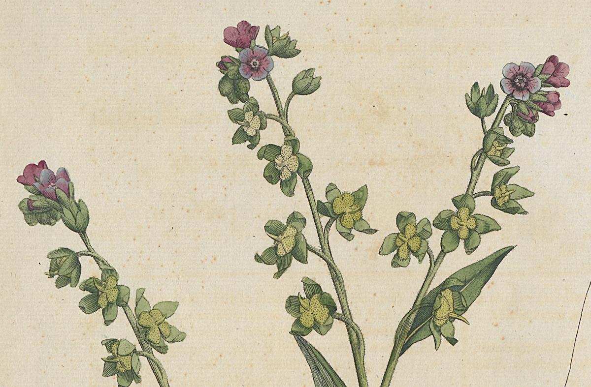 1982.0015.002 Print, Detail 4