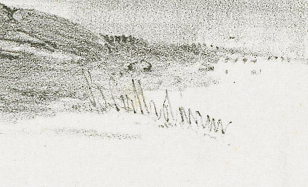 1982.0018.001 Print, detail 2