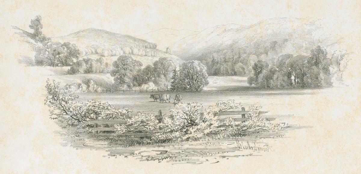 1982.0018.002 Print, image