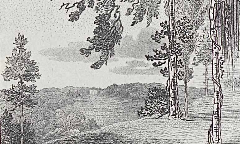 1982.0020 Print, Detail 3