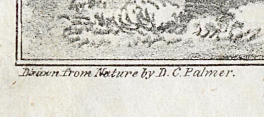 1982.0030.003 Print, Detail 5