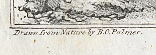 1982.0030.004 Print, Detail 5