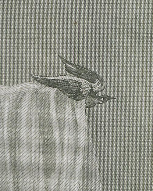 1982.0031 Print, detail 6