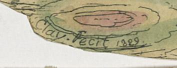 1982.0045 Collage, detail 1