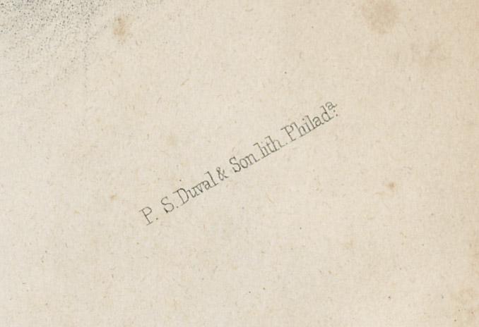 1982.0050 Print, detail 3