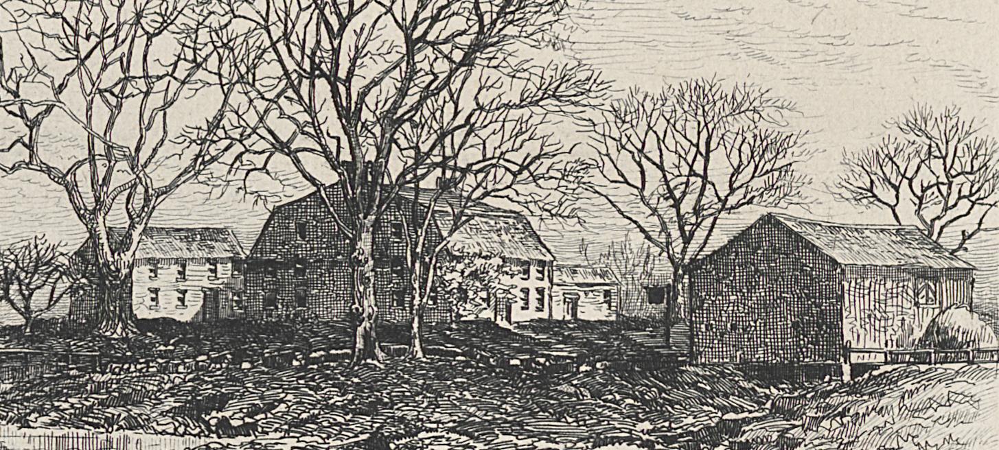 1982.0081 Print, Detail