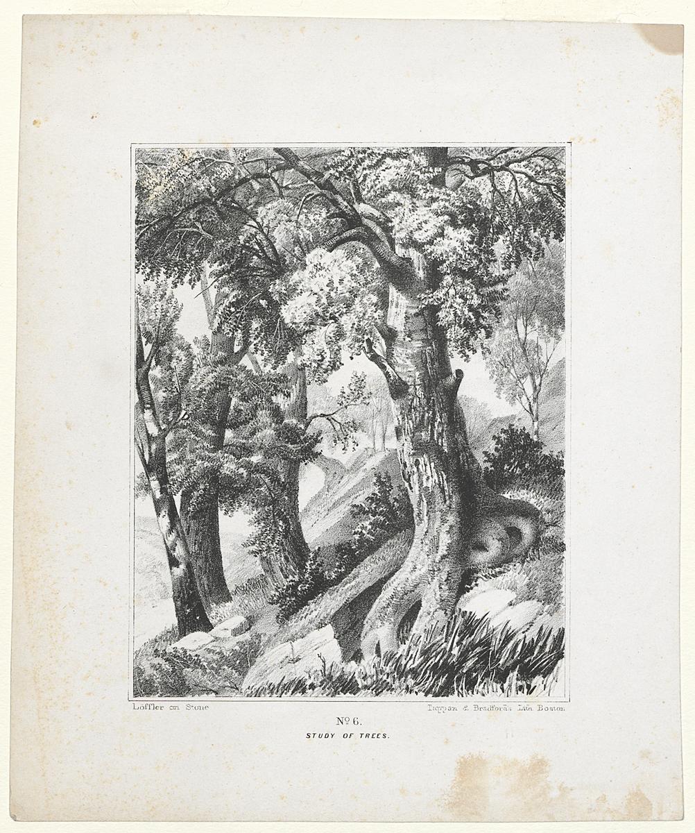 1982.0094.001 Print
