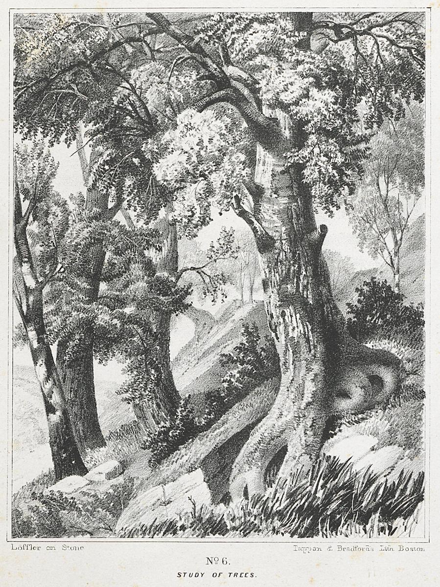 1982.0094.001 Print, View 2