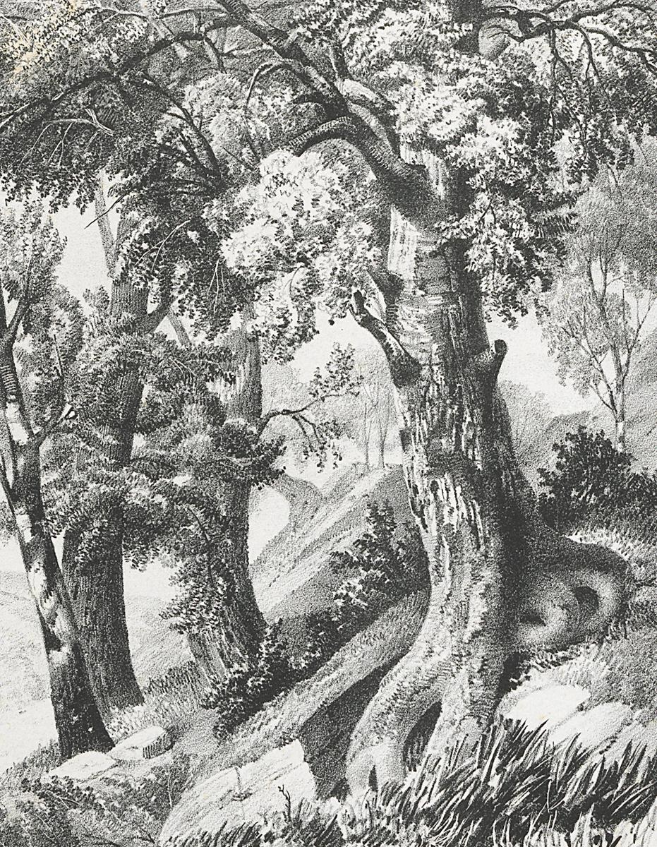 1982.0094.001 Print, Detail