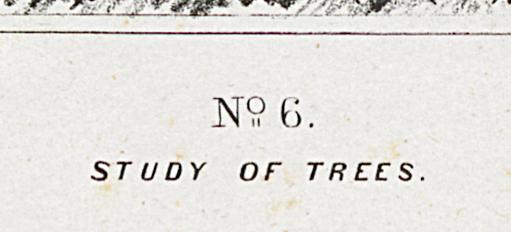 1982.0094.001 Print, Detail 2